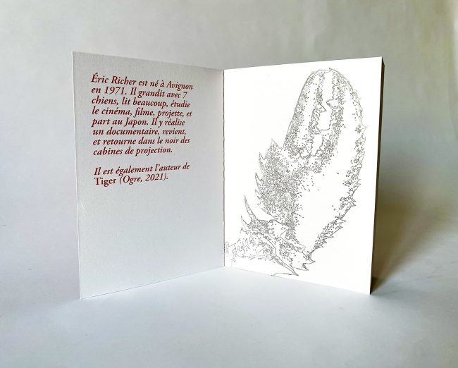 FullSizeRender (7) copie