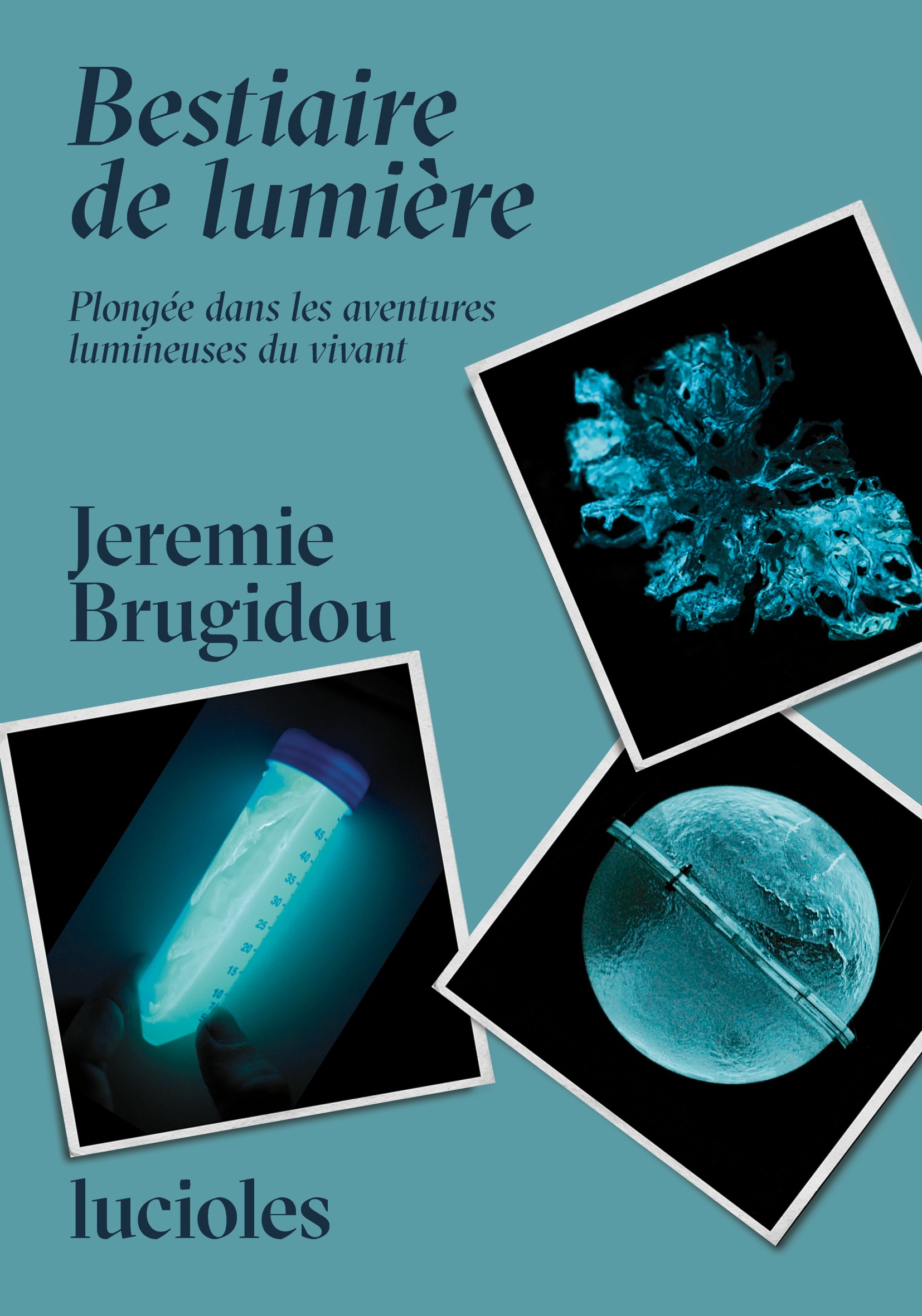 Lucioles n°1